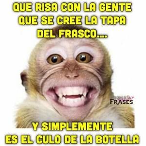 Meet your Posher, Beatriz